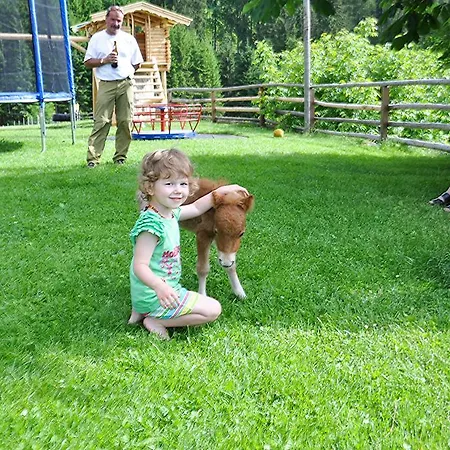 Berggasthof Zieplhof Kro